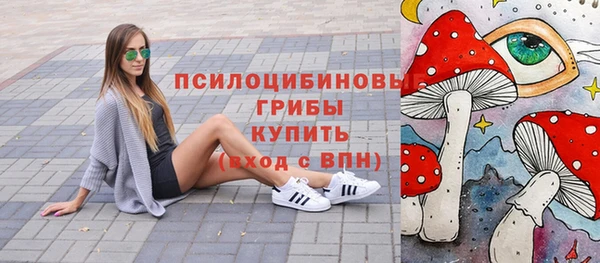герыч Вяземский