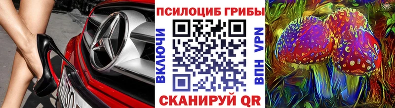 omg вход  Новочебоксарск  Галлюциногенные грибы прущие грибы 